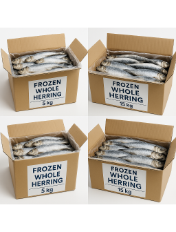 Heringing Înghețat Întreg – Ambalaj de 5 kg / 20 kg