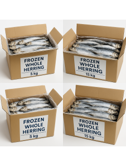 copy of Hering Înghețat Întreg – Ambalaj de 5 kg / 20 kg