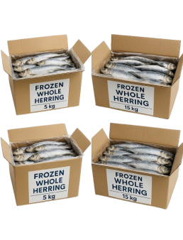Heringing Înghețat Întreg – Ambalaj de 5 kg / 20 kg